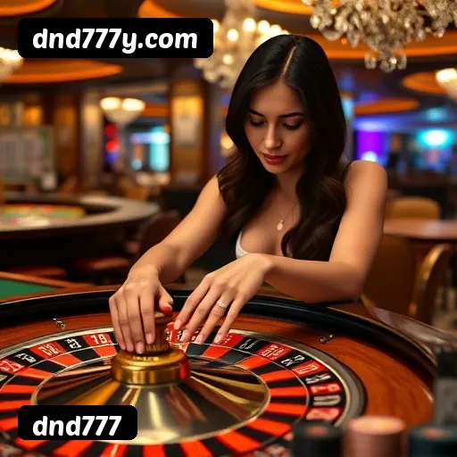 Termos e Condições Transparentes dnd777